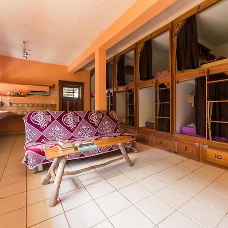 A Piece Of Ground Albergue Punta Gorda Exterior foto