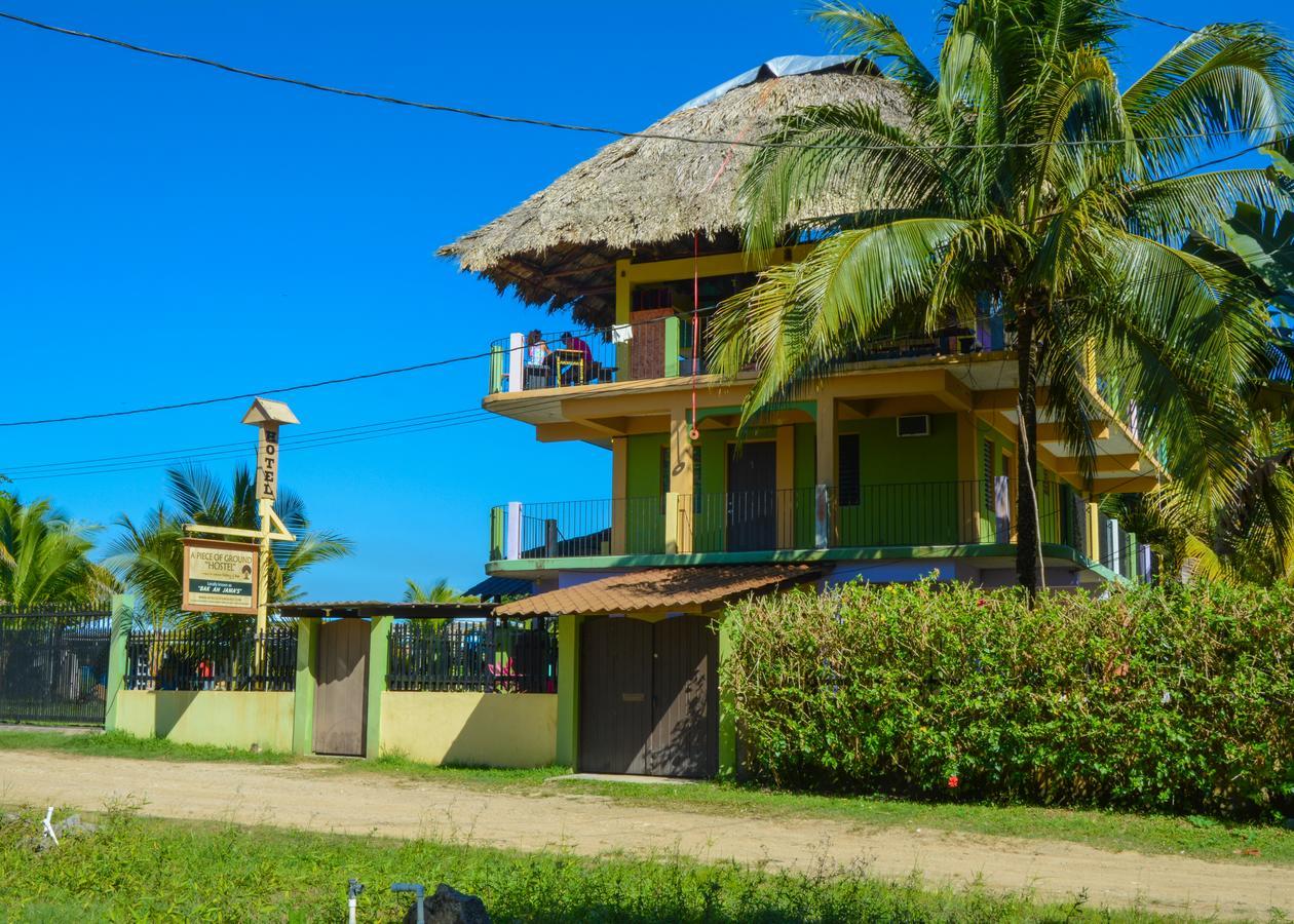 A Piece Of Ground Albergue Punta Gorda Exterior foto