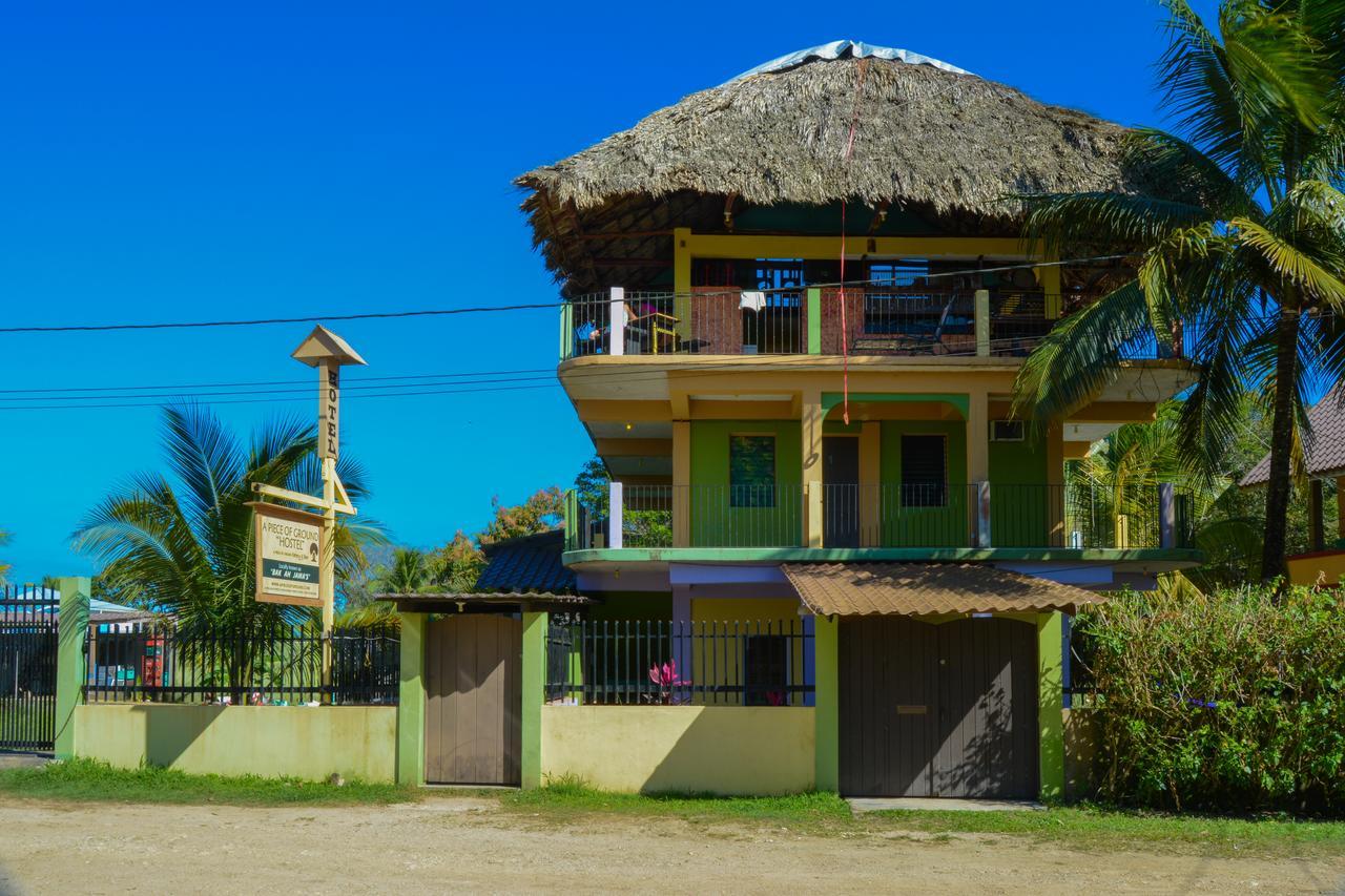 A Piece Of Ground Albergue Punta Gorda Exterior foto